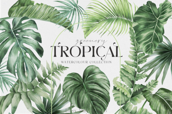 Download Tropical Greenery Jungle Rainforest PNG - Png Collection