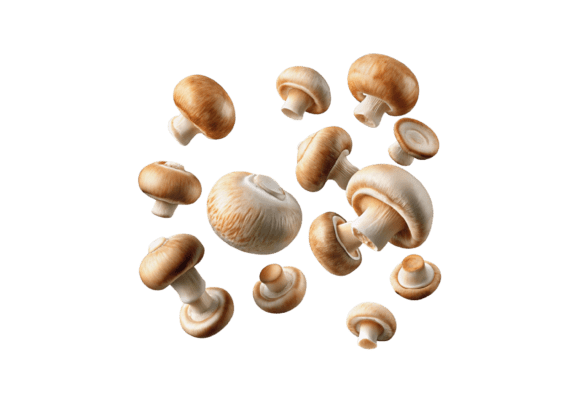 Download 3D Flying Champignon Mushrooms PNG - Png Collection