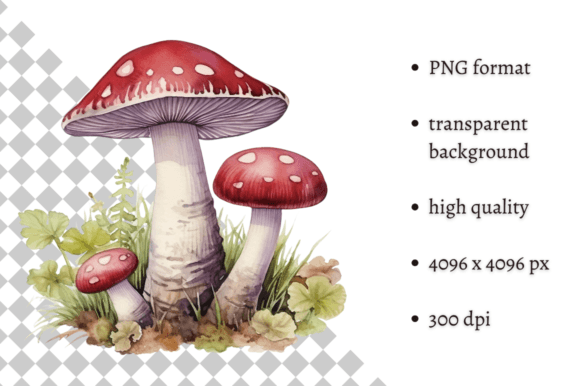 Download Watercolor Woodland Wild Mushroom PNG - Png Collection