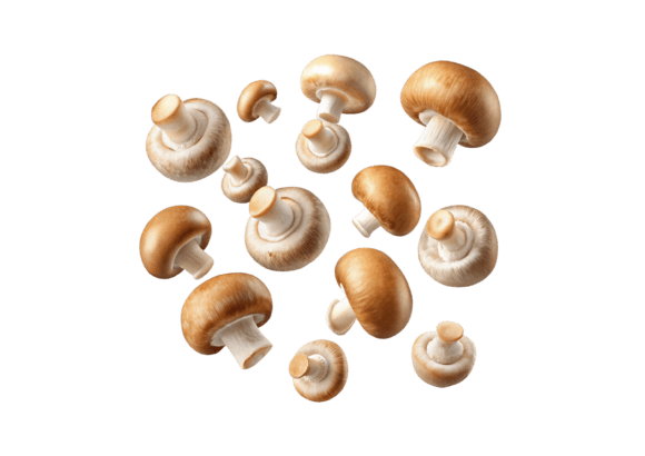 Download Flying Champignon Mushrooms PNG - Png Collection