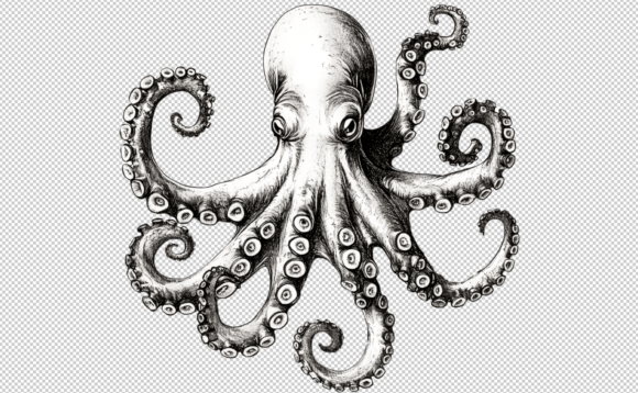 Download Octopus PNG Sublimation 300 DPI Clipart - Png Collection