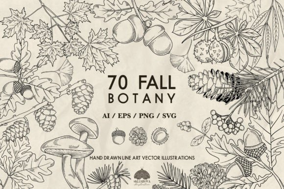 Download 70 Fall Botany Svg Png Eps - Png Collection