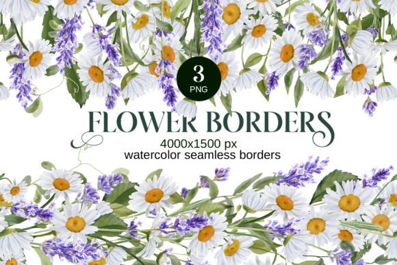 Download Watercolor Daisies, Lavender Borders PNG - Png Collection
