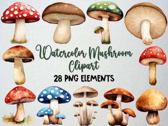 Download Watercolor Mushroom Clipart Set, 28 PNG - Png Collection