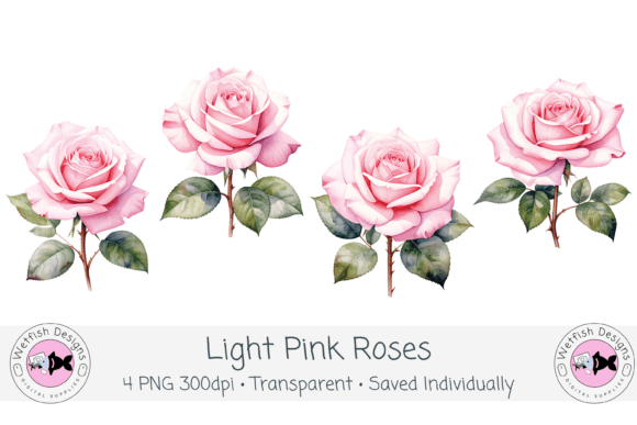 Download Watercolor PNG 300dpi Light Pink Roses - Png Collection